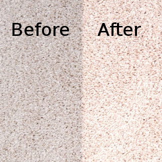 Carpet Cleaning Services Before and After